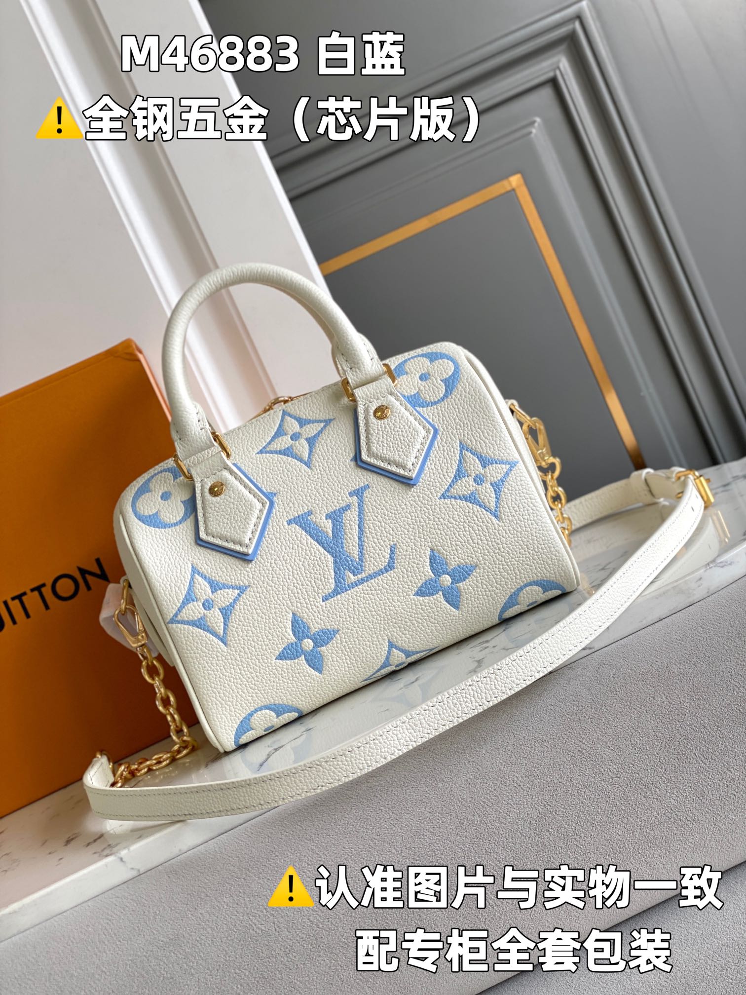 Louis Vuitton Speedy Bags